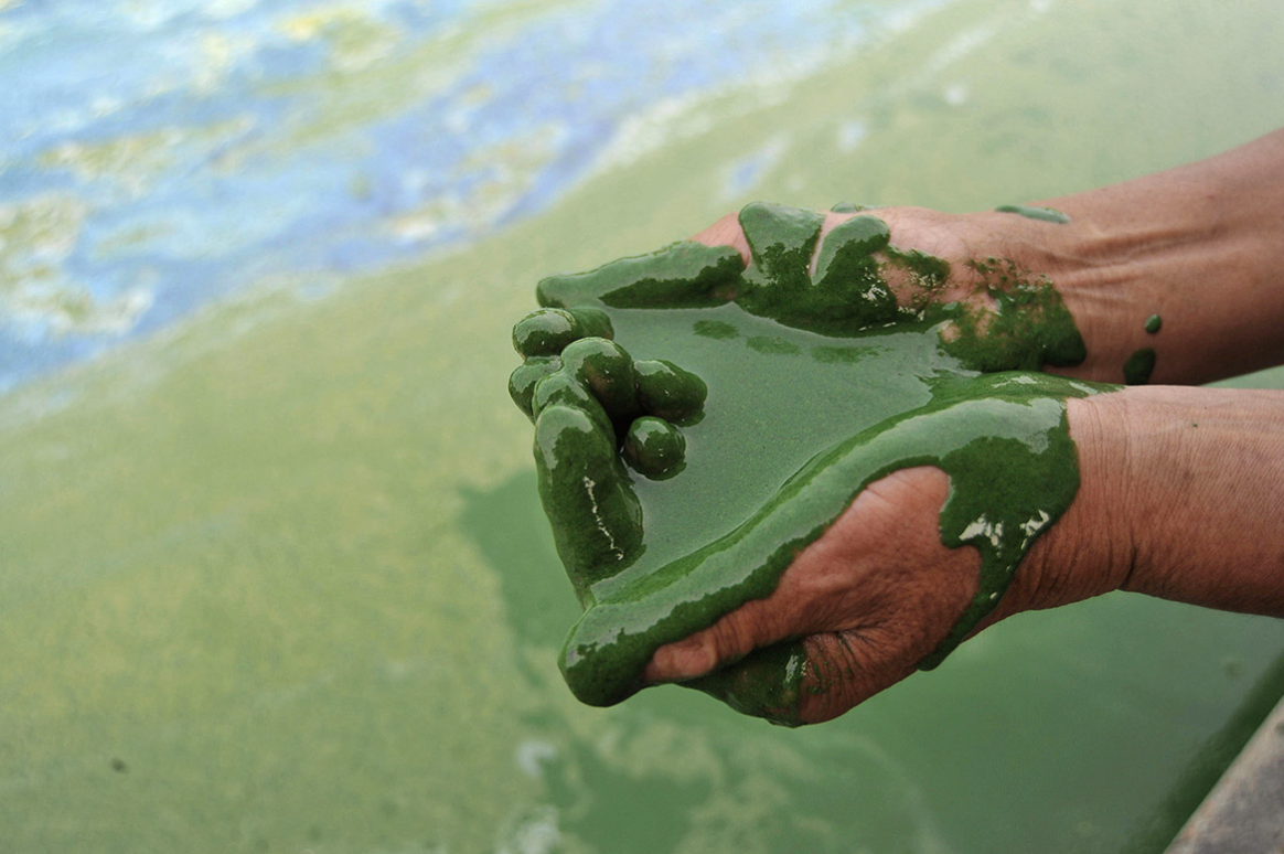 Environmental toxin testing equipment
